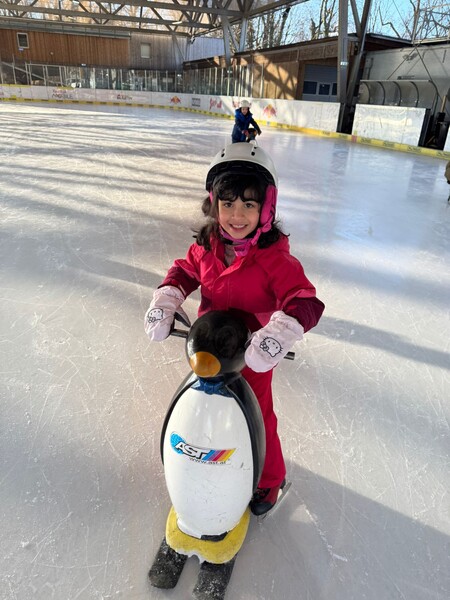 eislaufen einzel