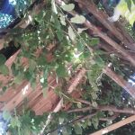 20160930_102644